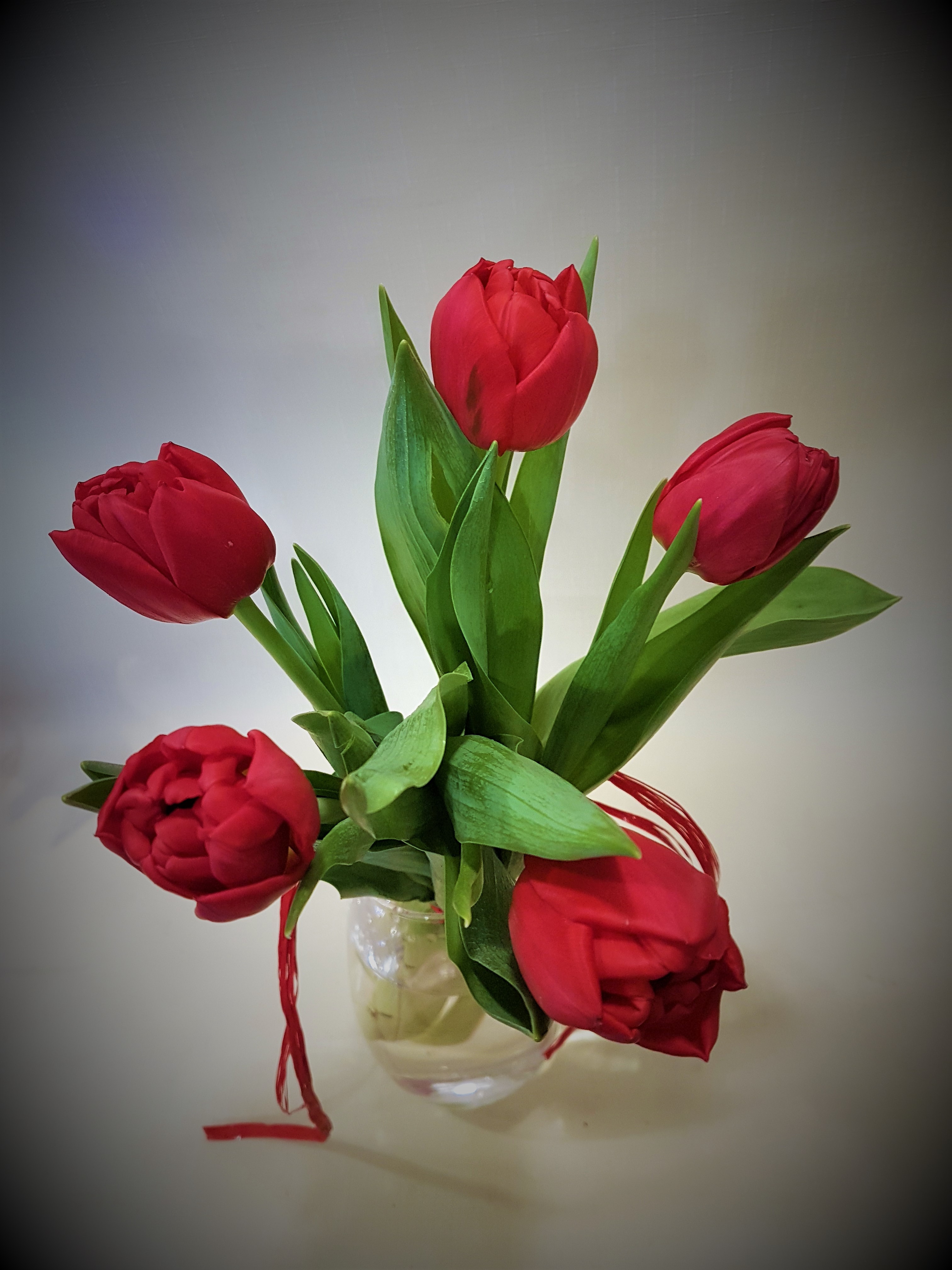 BUKIET 5 tulipanów